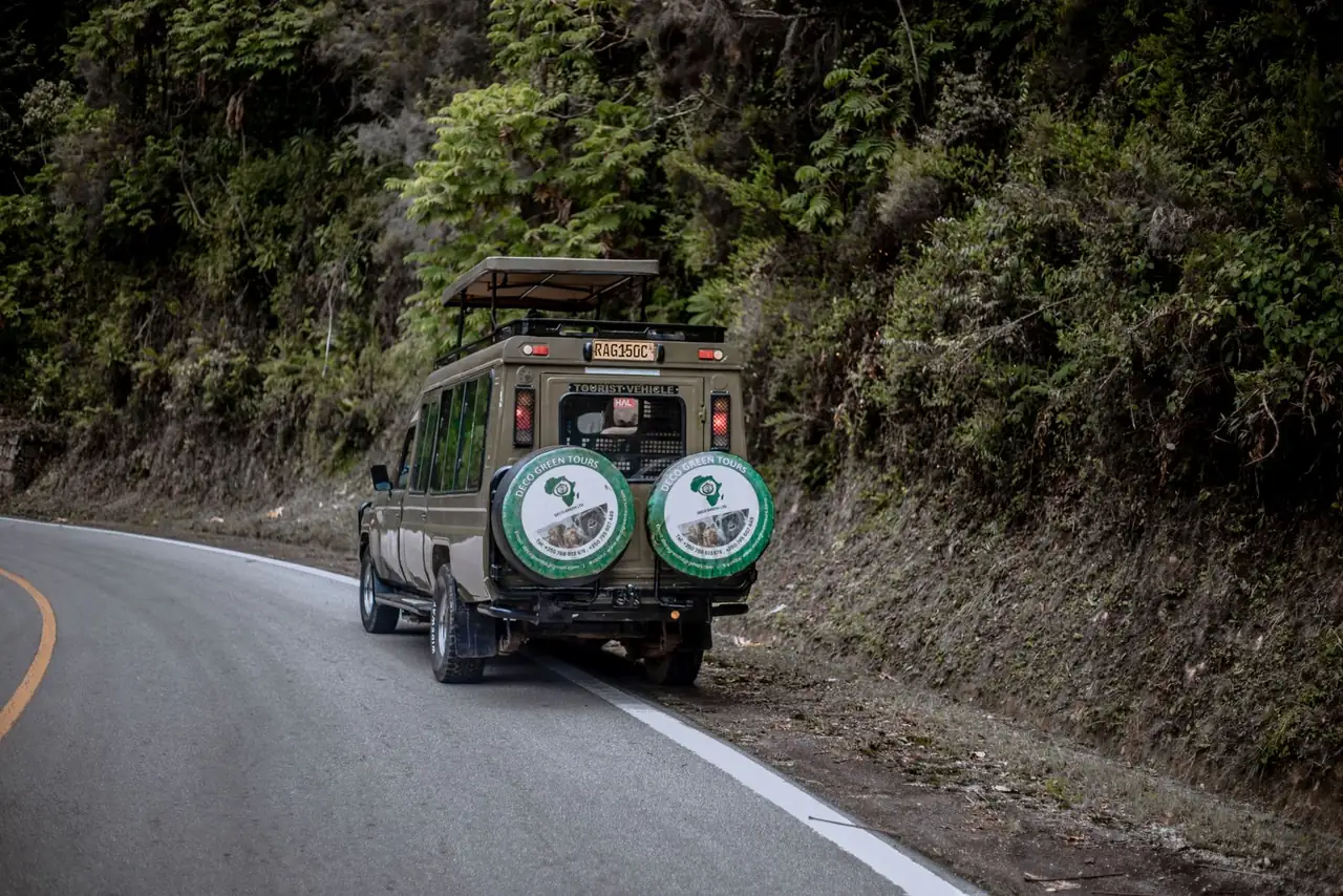 A safari vehicle on a winding road through a lush green forest, perfect for adventure and nature exploration.